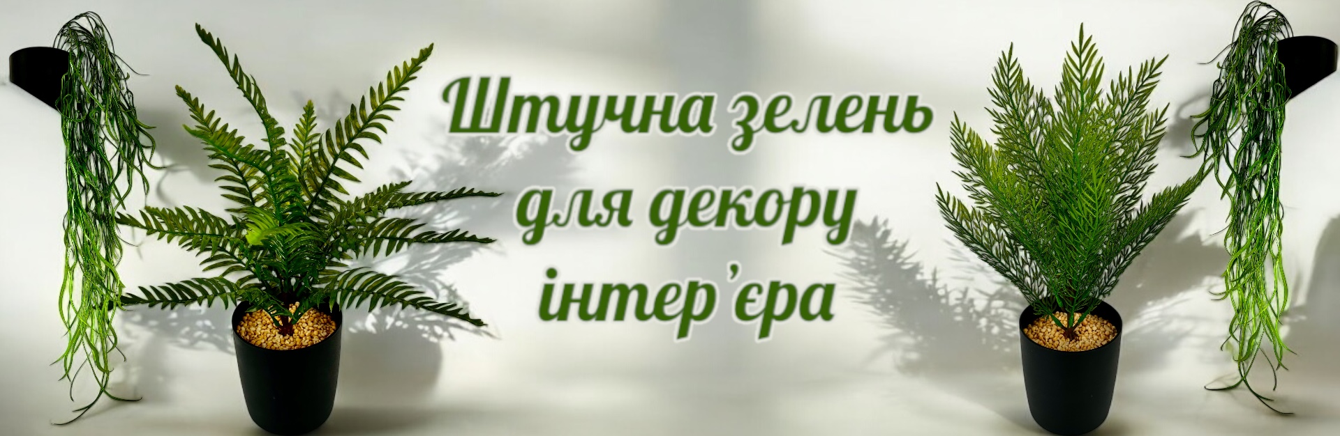 Zelen dekoratyvna