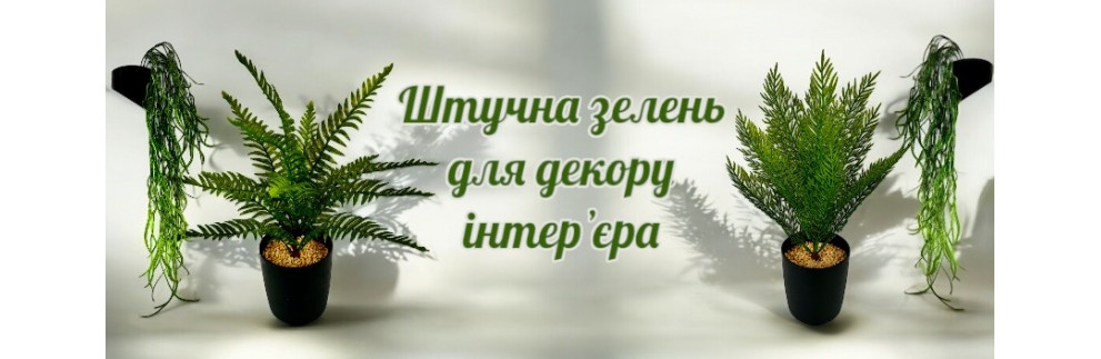 Zelen dekoratyvna