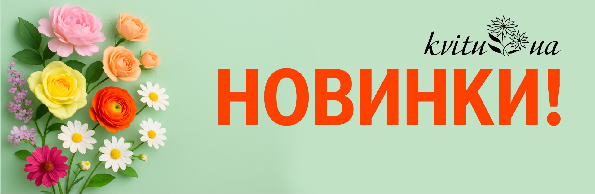 Новинки
