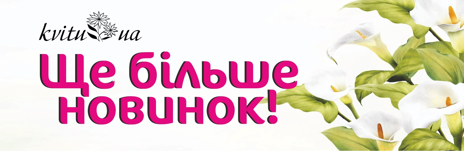 Новинки