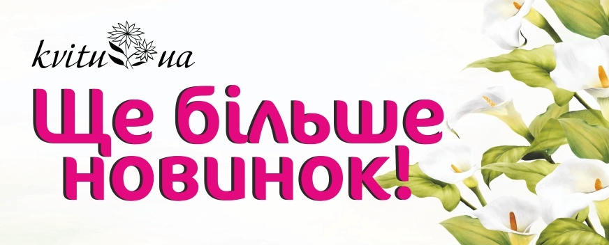 Новинки