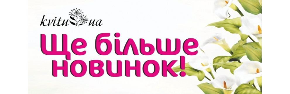 Новинки
