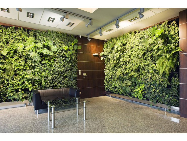 Зеленые стены, панели из искусственных растений купить | интернет-магазин Romatti в Москве
