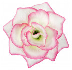 Искусственные цветы букет средних роз 12-ка, 53см  093 изображение 6