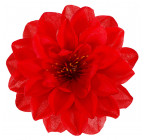 Искусственные цветы букет Колибри, 49см 138/Р изображение 3