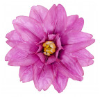 Искусственные цветы букет клематиса,  44 см  0165 изображение 2