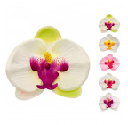 Искусственная Орхидея, 9,5см  Ор изображение 1