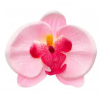 Штучна Орхидея, 9,5см Ор зображення 6