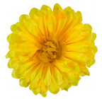 Искусственные цветы букет хризантем атласных , 50см  137 изображение 11