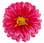 Штучні квіти букет хризантем атласних, 50см 137 зображення 7
