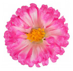 Штучні квіти букет хризантем атласних, 50см 137 зображення 8