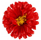 Искусственные цветы букет хризантем атласных , 50см  137 изображение 10