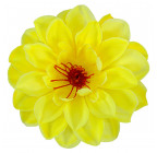 Искусственные цветы букет георгины Колибри, 49см  138 изображение 4