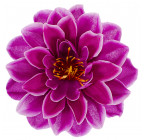 Искусственные цветы букет георгины Колибри, 49см  138 изображение 10