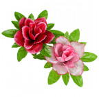 Штучні квіти букет троянди атласні з зеленою підкладкою, 45см 8028 зображення 8