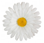 Искусственные цветы букет ромашек белых, 40см  774-Б изображение 2