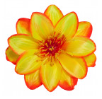 Искусственные цветы букет крокуса желтого с кантом, 41см  0122/Р изображение 2