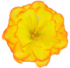 Хризантема метелик, 6,5 см Хра Б зображення 4