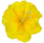 Хризантема метелик, 6,5 см Хра Б зображення 6