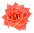 Штучна Троянда наречена, 13см Рн зображення 12