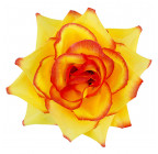Штучна Троянда наречена, 13см Рн зображення 21