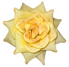 Штучна Троянда наречена, 13см Рн зображення 28