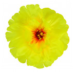 Искусственные цветы букет гибискуса,  44 см  0166 изображение 2