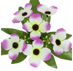 Искусственные цветы букет заливка примула, 21см  7004 изображение 9