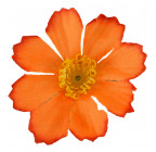 Искусственные цветы букет кустик гербер, 34см 7006 изображение 11