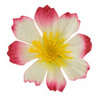 Искусственные цветы букет примулы высокие, 34см 7006 изображение 6