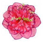Искусственные цветы букет георгины с кашкой, 60см 7011 изображение 7