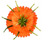 Штучні квіти букет маргаритки з атласу об'ємні, 32см 7015 зображення 5