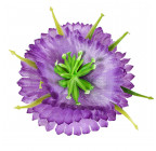 Штучні квіти букет маргаритки з атласу об'ємні, 32см 7015 зображення 7