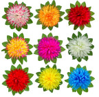 Искусственные цветы букет хризантемы с воротником, 68см  1023 изображение 2
