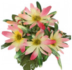 Штучні квіти букет айстри декоративні бордюр, 21см 375 зображення 7