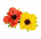 Искусственные цветы букет маки атласные двухцветные, 29см  378 изображение 3