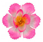Искусственные цветы букет колокольчик, 36см  0Д-10 изображение 3