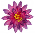 Искусственные цветы букет кувшинки, 36см  0066К изображение 5