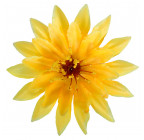 Искусственные цветы букет кувшинки, 36см  0066К изображение 6