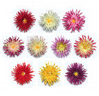 Штучні квіти букет Айстри, 59 см 7080 зображення 4