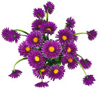 Штучні квіти букет ромашки и ромашечки, 48см 6121 зображення 1
