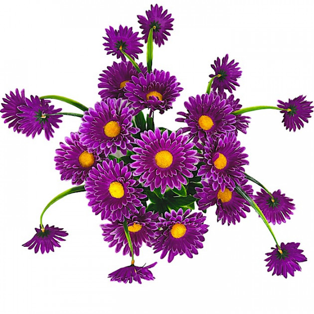 Штучні квіти букет ромашки и ромашечки, 48см 6121 зображення 4618