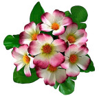 Искусственные цветы букет примулы бордюрные, 17см  7110 изображение 1