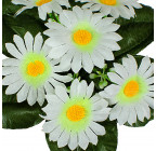 Искусственные цветы букет заливка ромашка белая, 21см  7111 изображение 1