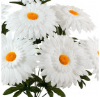 Штучні квіти букет білих ромашок, 50см 867 зображення 2