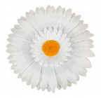 Штучні квіти букет білих ромашок, 50см 867 зображення 3