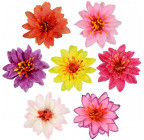 Штучні квіти букет хризантеми ананасні, 43см 7033 зображення 3
