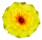 Искусственные цветы букет пионов Рассвет, 43см  472 изображение 11