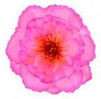 Искусственные цветы букет пионов Рассвет, 43см  472 изображение 3