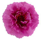 Искусственные цветы букет пионов Рассвет, 43см  472 изображение 8
